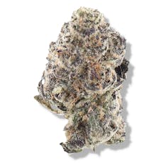 The Deli - Vice City