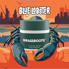Blue Lobster | Flower | Hybrid | Eighth (3.5g) | Grassroots