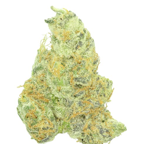 GMO Cookies