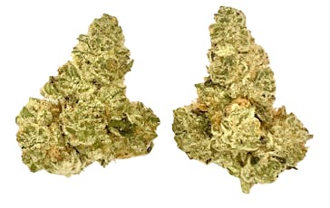 Buds | Duct Tape