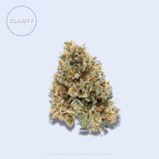 BULK | Fresh Canna | Super Lemon Haze | Classics Tier