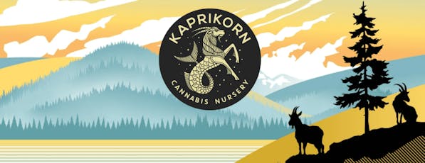 Kaprikorn Mule Fuel & Permanent Lee Hi - 0.5g 10 Pack Pre-rolls