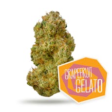 Grapefruit Gelato