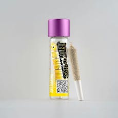 Jetpacks - Big Bang Mini - Pineapple Sage - Single Infused Joint