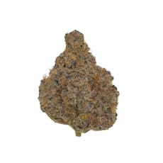 Cherry Paloma