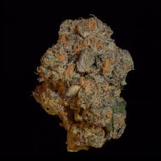 Black Maple - 3.5g Top Shelf Flower