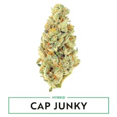 AMAZE - PREPACK - 3.5G - CAP JUNKY - HYBRID