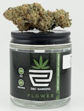 D&C Gardens - Dantes Inferno Flower 8th