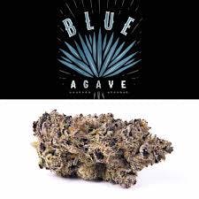Cookies Flower 14g- Blue Agave