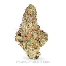 Lemon Cherry Diesel A Buds