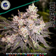 Irene-Flower-|Hybrid|HRBD|1g