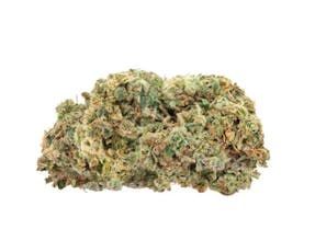 Trailblazer Fire G13