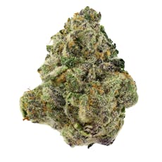 Dr. Greenthumbs | Gelato 41