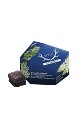 WYLD | Elderberry 2:1 | THC:CBN Indica Gummies (10pk)