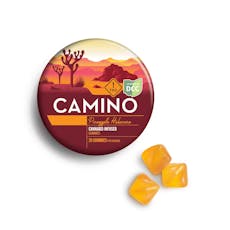 Camino - 1:2 CBG Freshly Squeezed Oranges Gummies 20pk - 100mg