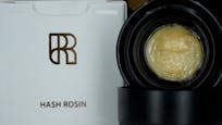 Garlic Icing | 1g | Hash Rosin