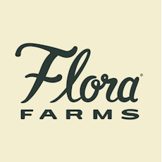 Key Lime Gelato (Indica) - 3.5g