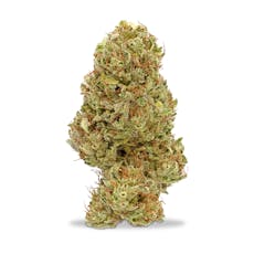 Bula Farms - Tropical Stardawg Pre-Packed Oz - 28g