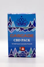 Lifter 10pk 0.5g PR (C)