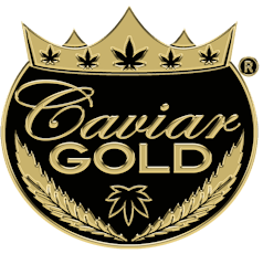 Cavi Cone - 1.3g Infused Pre-Roll - Lost Louie