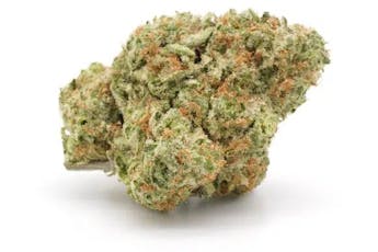 Gelliez | THC 26.9%