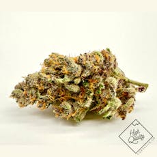 Super Boof - Livetia