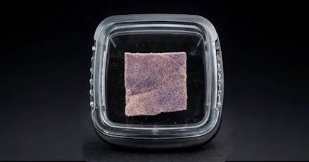 House of Sacci | Trop Cherry Hash | 1g | Hybrid | 64.87% THC