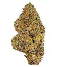 AMA | Runtz POPCORN 14g