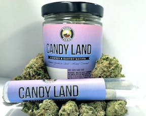 Candyland by Bondi Farms