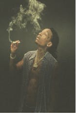 Top Shelf | Baby Turtle | Khalifa Kush | 3.5g