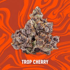 Trop Cherry | 28g