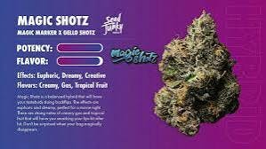 (Seed Junky) Flower 3.5g (Magic Marker)