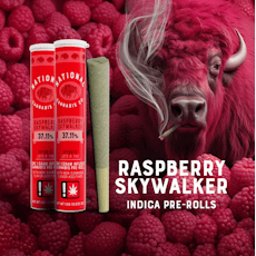 National - Raspberry Skywalker - Infused Preroll - 1g