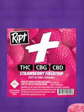Ript - (H) Strawberry Fieldtrip (1:1:1 CBG + CBD) Gummies