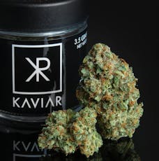 Connoisseur Shelf Kaviar Windbreaker (H) 3.5g