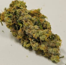 GMO | Holyoke Cannabis | Buds | 14g