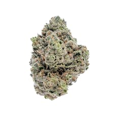 Mid Tier - Gucci Grimace