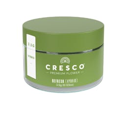 Mango Mintaity | Flower