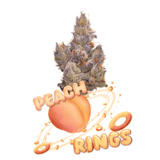 3.5G Peach Rings