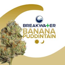 Banana Puddintain 3.5g-H