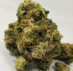 Mango Mintality | High Supply | 3.5g