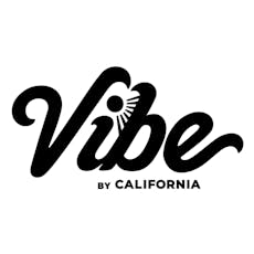 Lighter - Vibe Bic