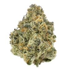 Lost Dutchmen | Guava Tartz