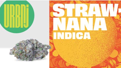 URBNJ - Strawnana - 2g Flower