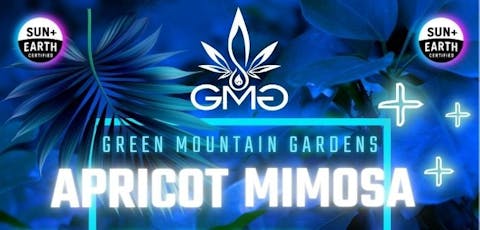 Apricot Mimosa - Deli Style