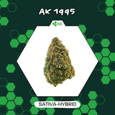 AK 1995 - 14g (HWC)