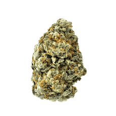 Value Shelf NGW Graffiti Chimax #25 (S) 28g