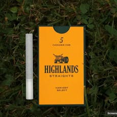 Lemon Trees | 0.5g | 5pk