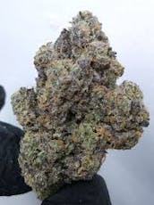 Mint Chocolate Chip - The Local