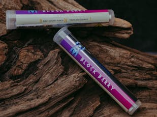 Viking Cannabis PR 2pk Block Berry 1g